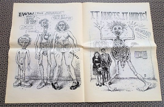 Robert Crumb 2008 Flesh and Blood Comics - 1