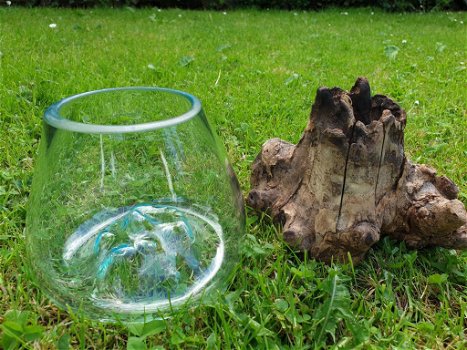 glas op hout - 3