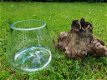 glas op hout - 3 - Thumbnail