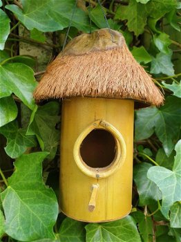 vogelhuis , bamboe , kokosnoot - 5