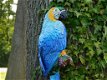 papegaai bianca - 1 - Thumbnail