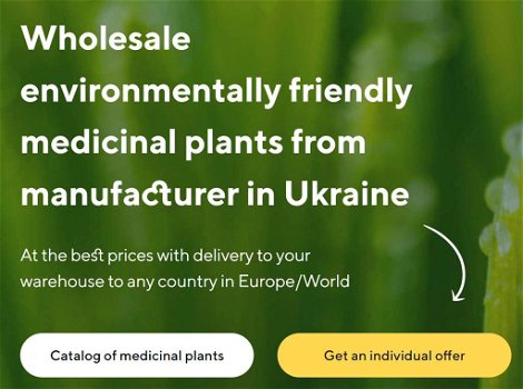 Verkoop van medicinale planten in bulk van de fabrikant tegen de beste prijzen. - 0
