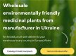 Verkoop van medicinale planten in bulk van de fabrikant tegen de beste prijzen. - 0 - Thumbnail