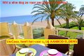 Uw eigen prachtige Penthouse in MIJAS COSTA aan zee en met veel - 6 - Thumbnail