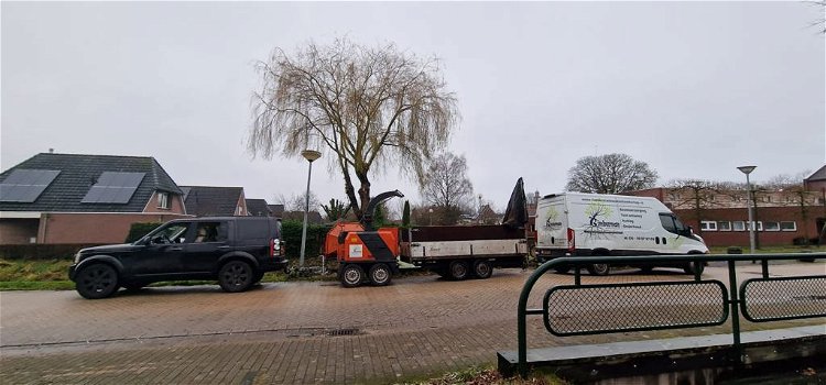 Tuinontwerp, boomverzorging, bomen kappen, tuinaanleg - 0