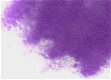 VIP Naildesign Color acryl - Purple - 1 - Thumbnail