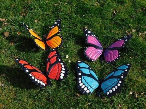vlinders , vlinder - 0