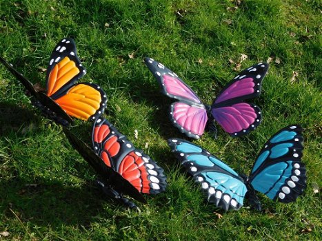 vlinders , vlinder - 1