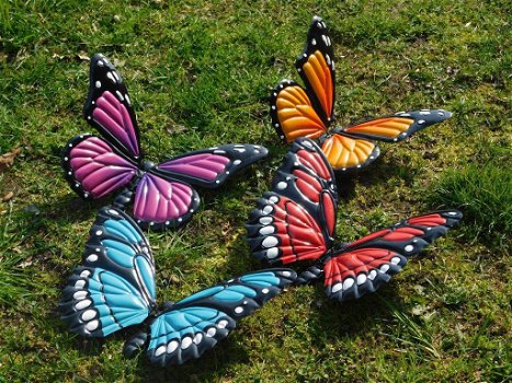vlinders , vlinder - 4