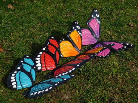 vlinders , vlinder - 5