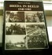 Breda in beeld: 1940-1985(van Rooijen, ISBN 9071077020). - 0 - Thumbnail