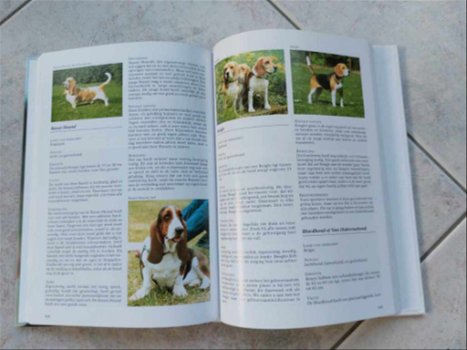 Honden encyclopedie. - 3