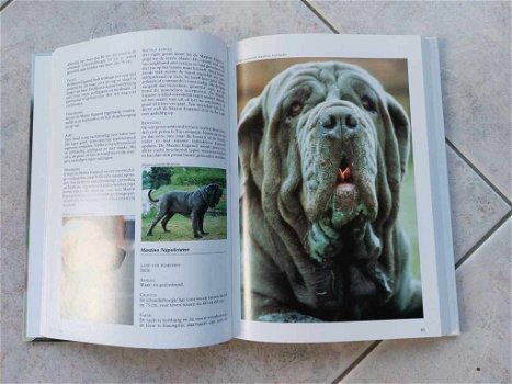 Honden encyclopedie. - 4