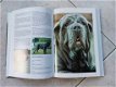 Honden encyclopedie. - 4 - Thumbnail