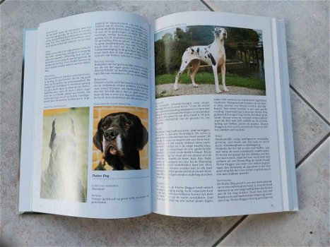 Honden encyclopedie. - 5