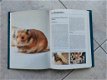 Konijnen en knaagdieren encyclopedie. - 6 - Thumbnail