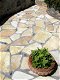 mediterraanse flagstones Yellow Saliq 3/5 cm dik - 2 - Thumbnail