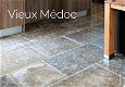 Franse Bourgondische Dallen Vieux Medoc - 4 - Thumbnail