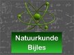 Bijlessen Natuurkunde (Online) - 0 - Thumbnail