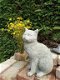 Grote stenen poes , kat , tuinbeeld - 0 - Thumbnail