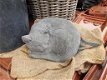 grote kat , poes beton - 1 - Thumbnail