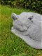 grote kat , poes beton - 3 - Thumbnail