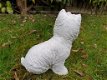 Wit hondje , boemer hond , beeld , aanbieding - 3 - Thumbnail