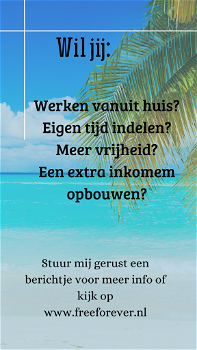 Wil jij ook je Online business? - 0