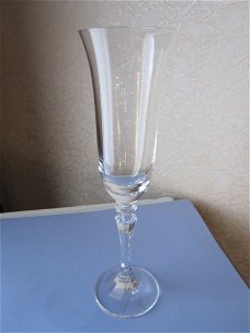 Prachtige Schott-Zwiesel champagne flute model Prestige