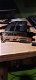 Te koop zgan Asus Geforce GTX1650 4G videokaart - 1 - Thumbnail
