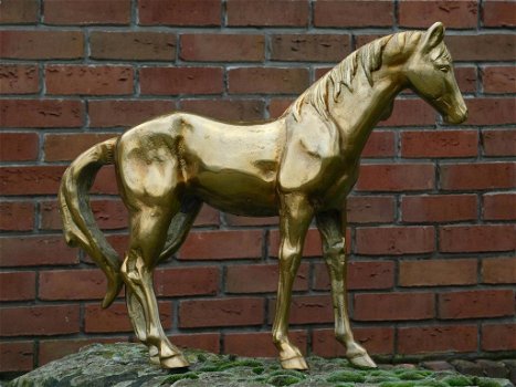 paard ,paarden decoratie - 0