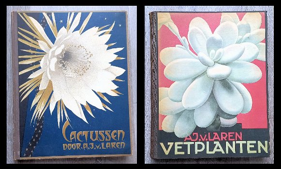 Cactussen 1931 & Vetplanten 1932 - 2 Verkade Albums Compleet - 0