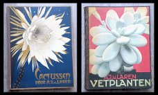 Cactussen 1931 & Vetplanten 1932 - 2 Verkade Albums Compleet