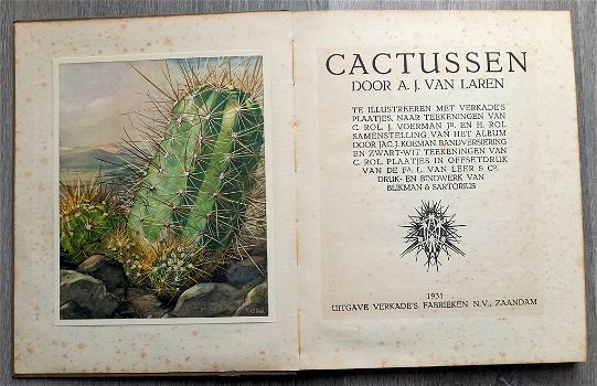 Cactussen 1931 & Vetplanten 1932 - 2 Verkade Albums Compleet - 1