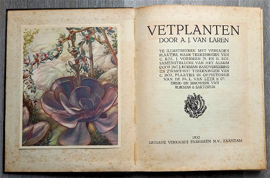 Cactussen 1931 & Vetplanten 1932 - 2 Verkade Albums Compleet - 4