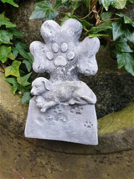 grafsteen voor hond - 0
