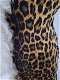DIVA jurk luipaardprint - 4 - Thumbnail