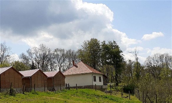 D803 Hongarije: boerderij met meerdere bijgebouwen - 0