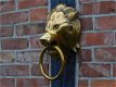 Deurklopper lion - 1 - Thumbnail