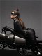 Queen Studios - DC Comics The Dark Knight Rises Catwoman Statue - 6 - Thumbnail
