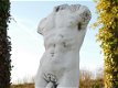 torso , tuinbeeld - 1 - Thumbnail