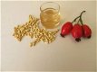Verkoop van rozenbottelzaden van de fabrikant tegen de beste prijzen - 1 - Thumbnail