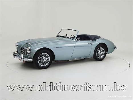 Austin Healey 100/6 BN4 '58 CH6488 - 0