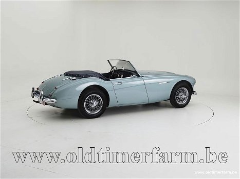 Austin Healey 100/6 BN4 '58 CH6488 - 1