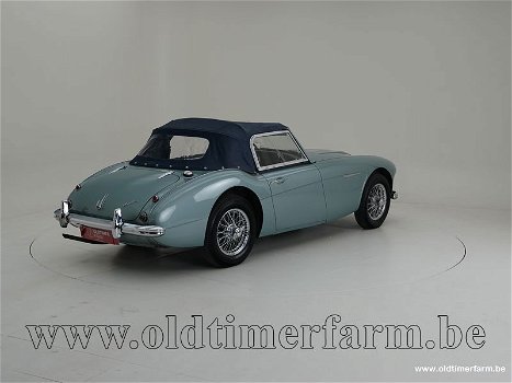 Austin Healey 100/6 BN4 '58 CH6488 - 7