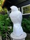 tuinbeeld van een witte adelaar , adelaar - 0 - Thumbnail