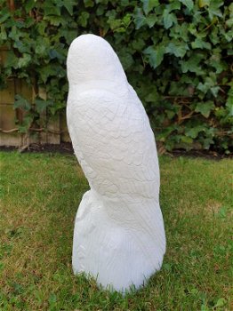 tuinbeeld van een witte adelaar , adelaar - 4