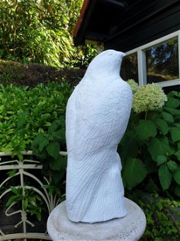 tuinbeeld van een witte adelaar , adelaar - 5