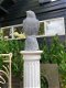 tuinbeeld van een witte adelaar , adelaar - 6 - Thumbnail
