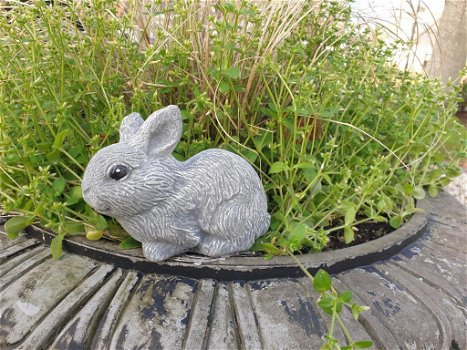konijn,beeld van schattig klein konijntje - 1